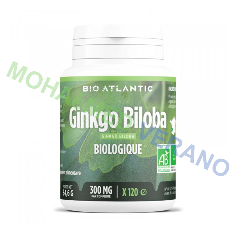 Ginkgo Biloba Bio Atlantic